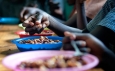 41 countries face triple threat of malnutrition, anaemia and obesity, FAO reports