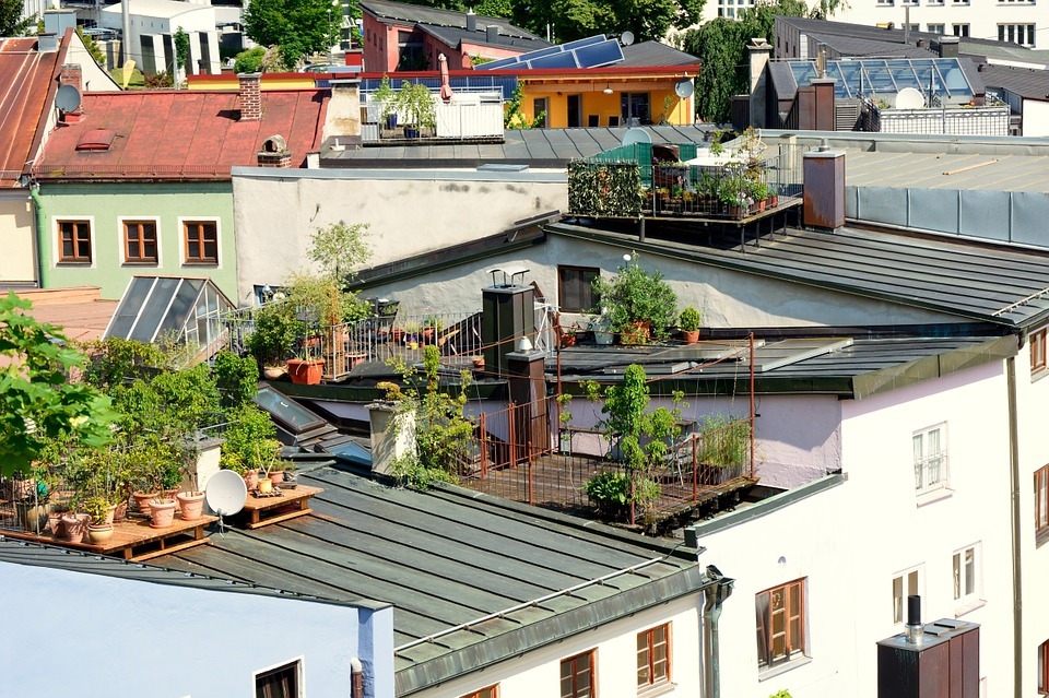 Urban farms have huge untapped potential to fight hunger